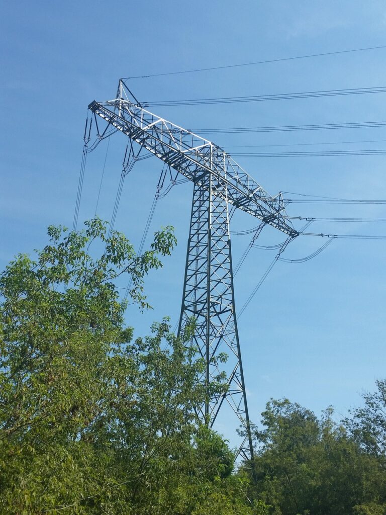 power pole, nature, trees